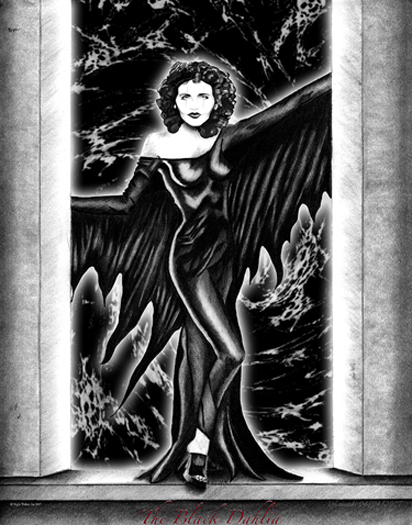 Black Dahlia